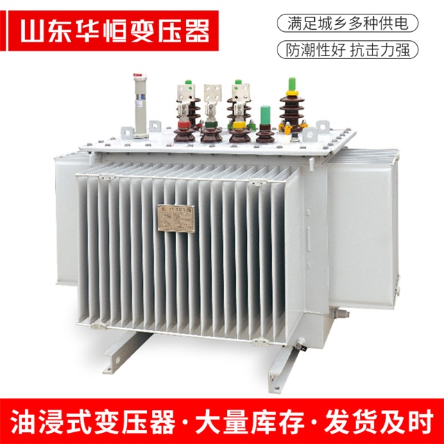 S13-10000/35聊城聊城聊城电力变压器